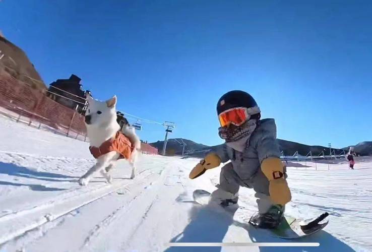 冬奥会开幕式小孩滑雪