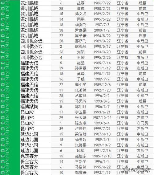 辽宁足球运动员名单